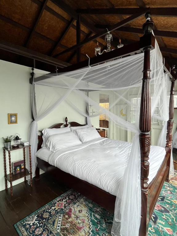 4000Dao- A Hilltop Hideaway & Experience in Doi Tung photo 5