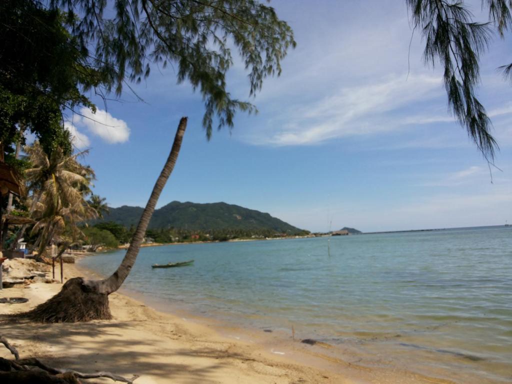 ABC Bungalow photo 5