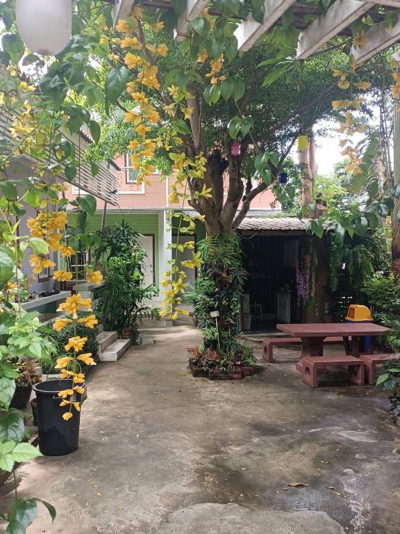 Adrian View Resort photo 5