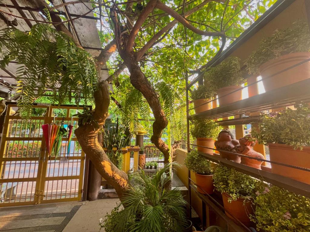Baan Baramee photo 3