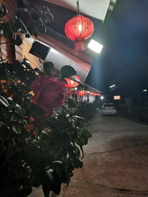 Baan Ruam Cha photo 4