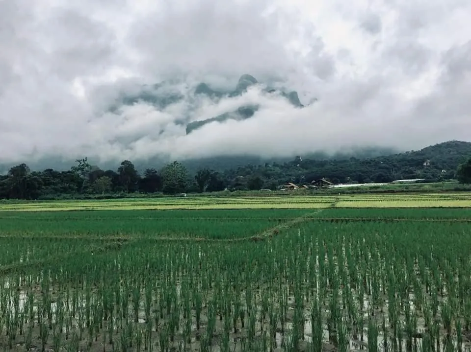 Ban Thung Talay Mok Chiang Dao photo 4