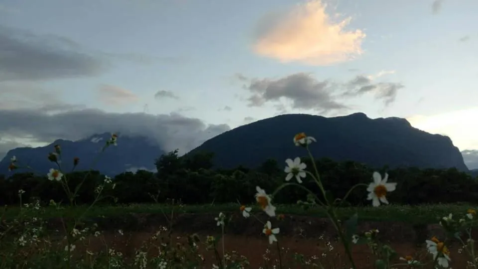Ban Thung Talay Mok Chiang Dao photo 5