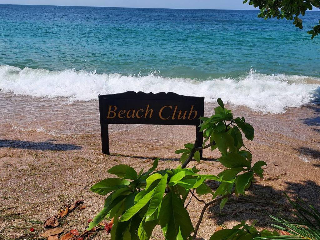 Beach Club Koh Tao photo 1