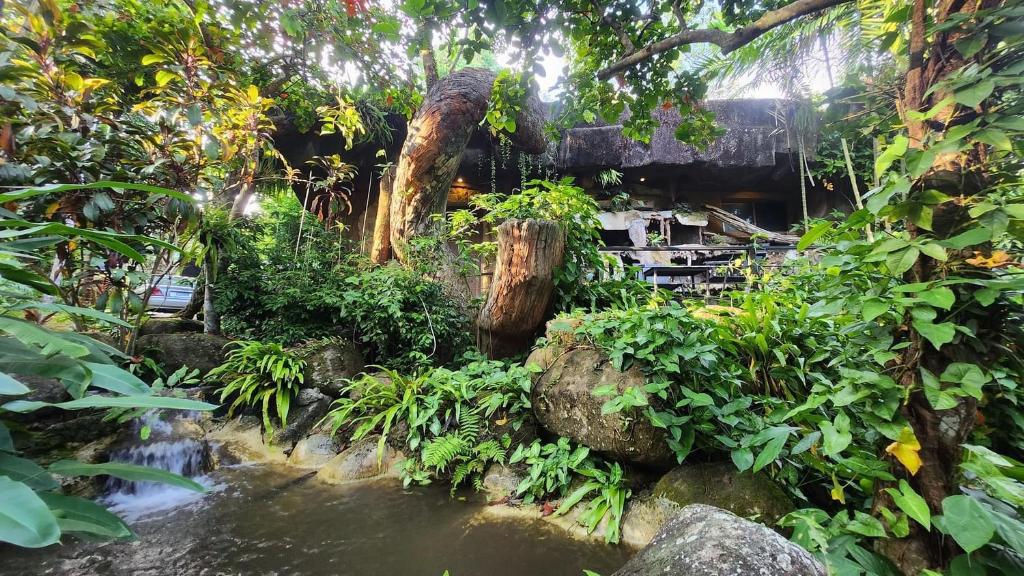 Bura Resort photo 5