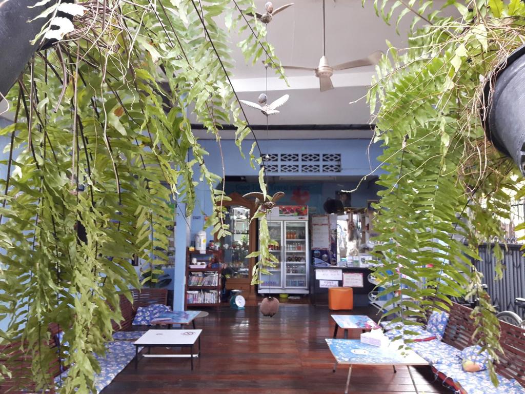 Canaan Guesthouse and Homestay photo 5