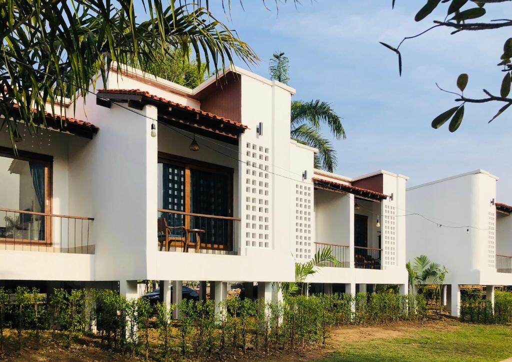 Canary Guesthouse photo 4