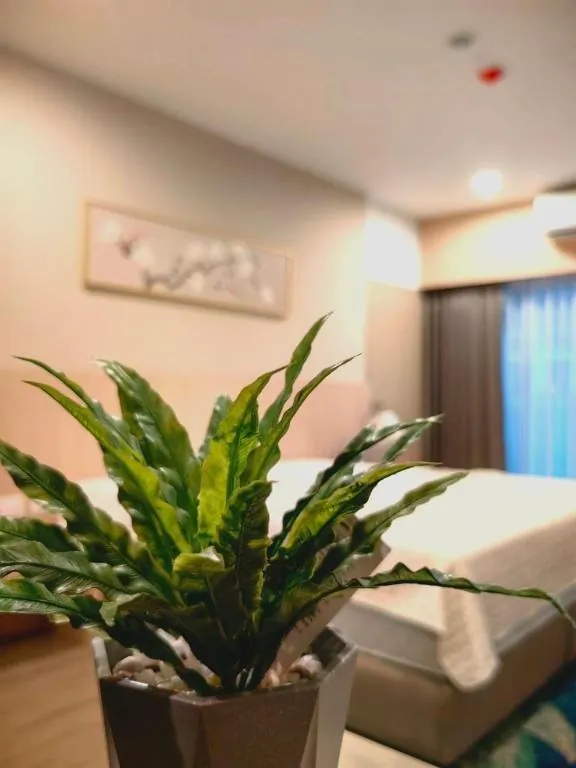 Chinatown Living Hatyai Hotel