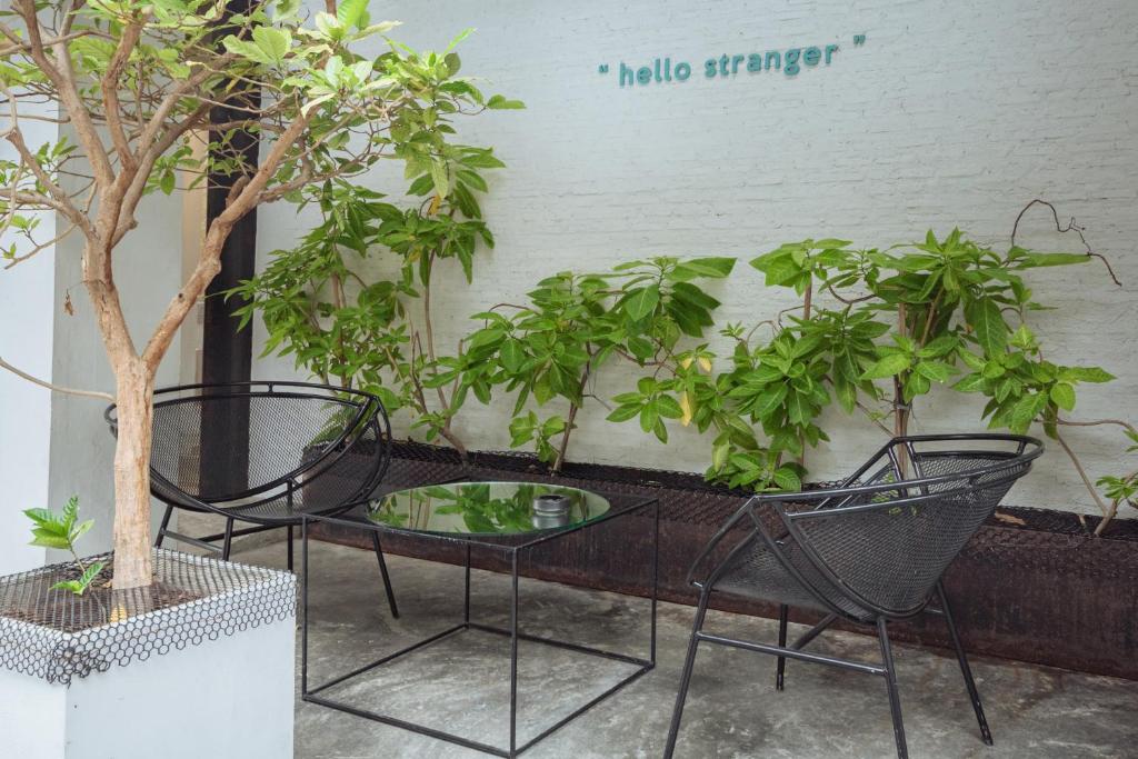 Chocolate Box Hotel photo 3