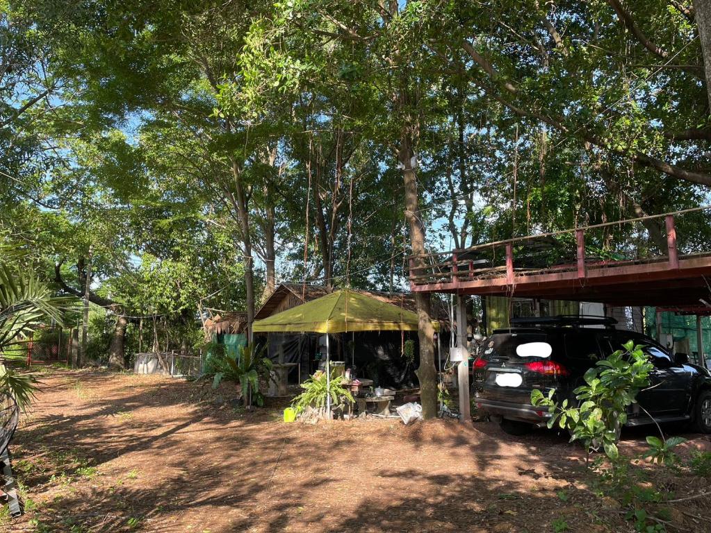 Gus gus Home Stay photo 4