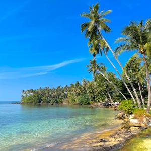 a beach with palm trees and the ocean at Hideout Koh Kood in Ko Kood