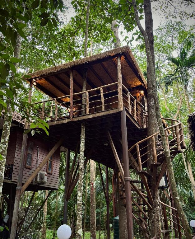 Khao Sok Paradise Resort photo 4
