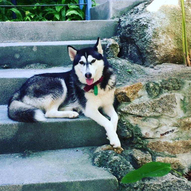 Ko Samui Seaview pool villa Paris with car