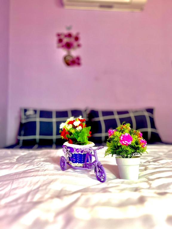 Lookdoknae Homestay photo 3