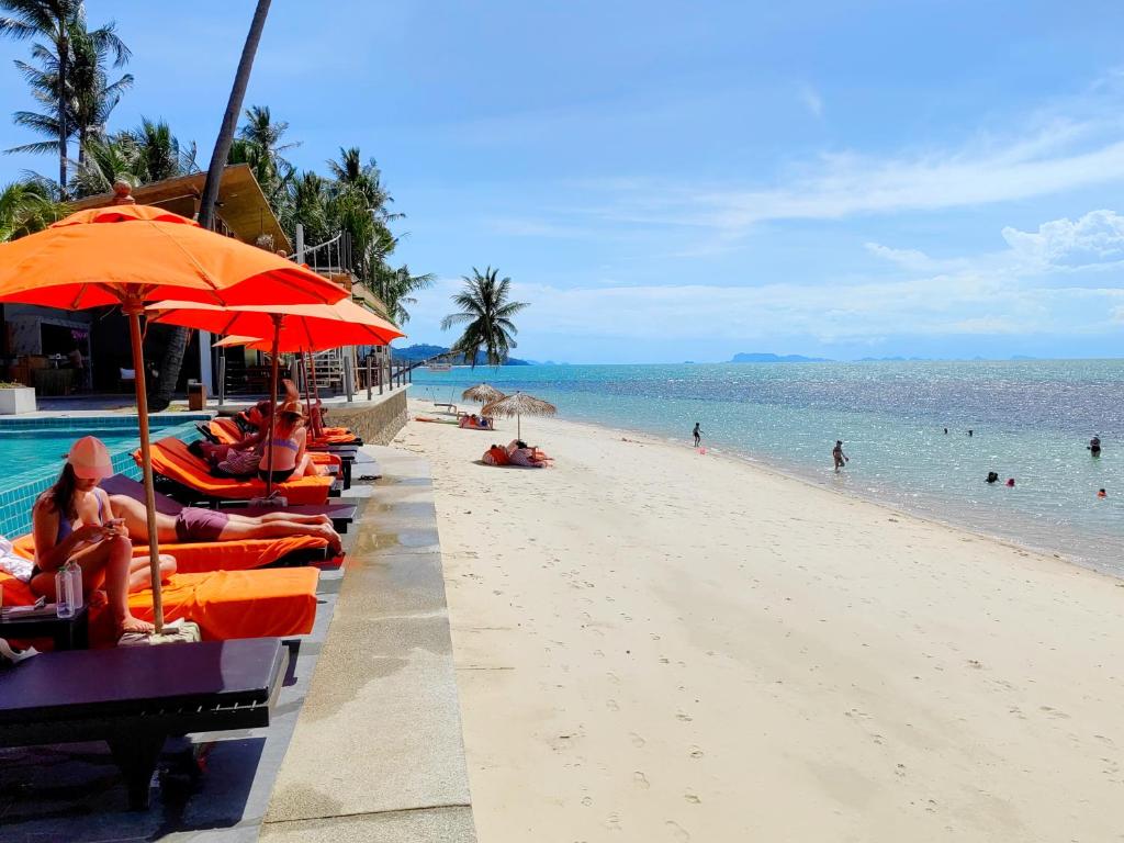 Mimosa Resort & Spa photo 5