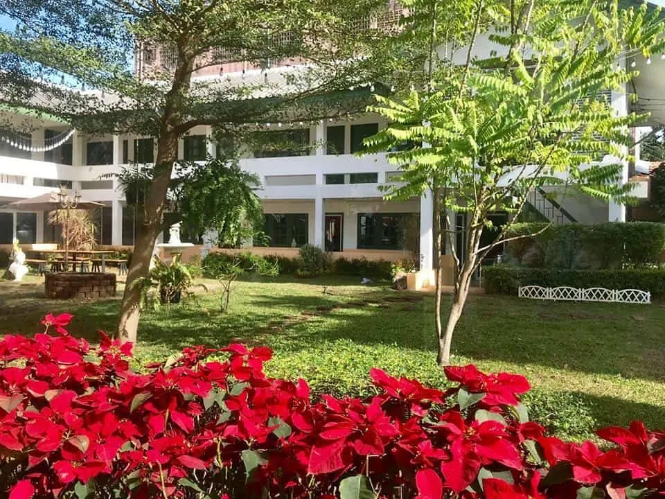 Moonfox cafeInn & Art Gallery