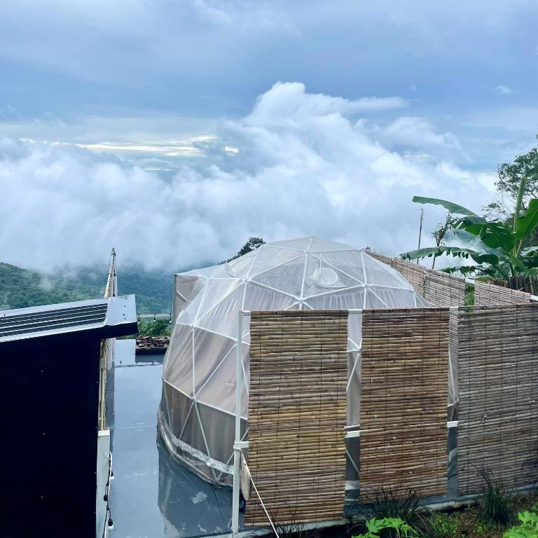 Naraview at phuchifa photo 5