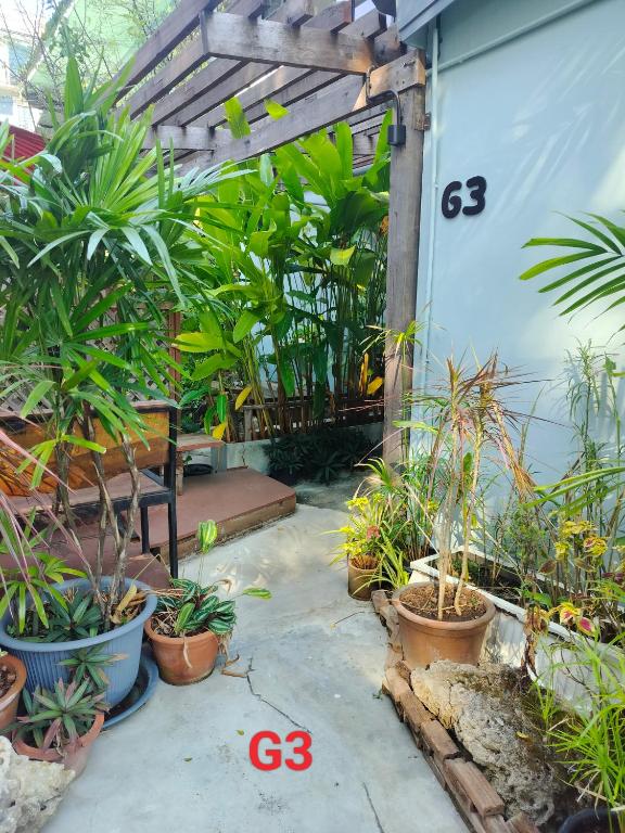 Oldy De Garden photo 5