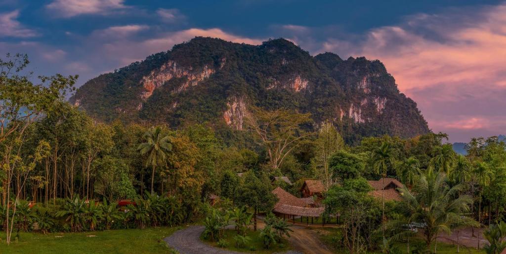 Our Jungle Camp - Eco Resort photo 4