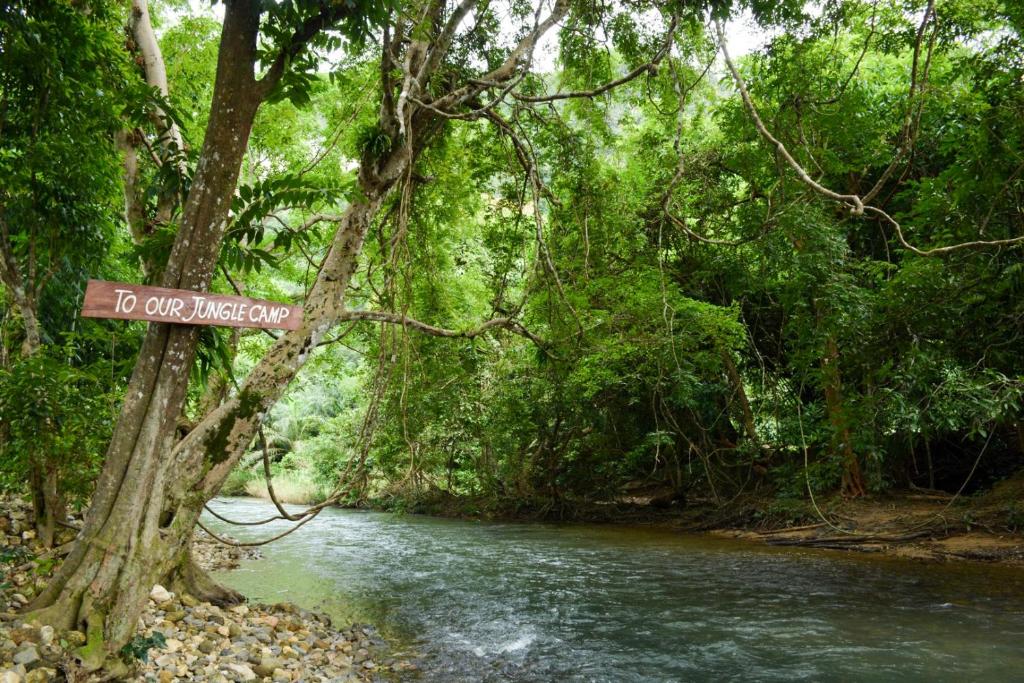 Our Jungle Camp - Eco Resort photo 4