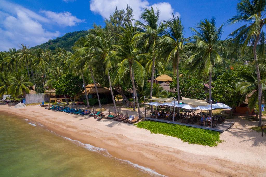 Palm Leaf Resort photo 1