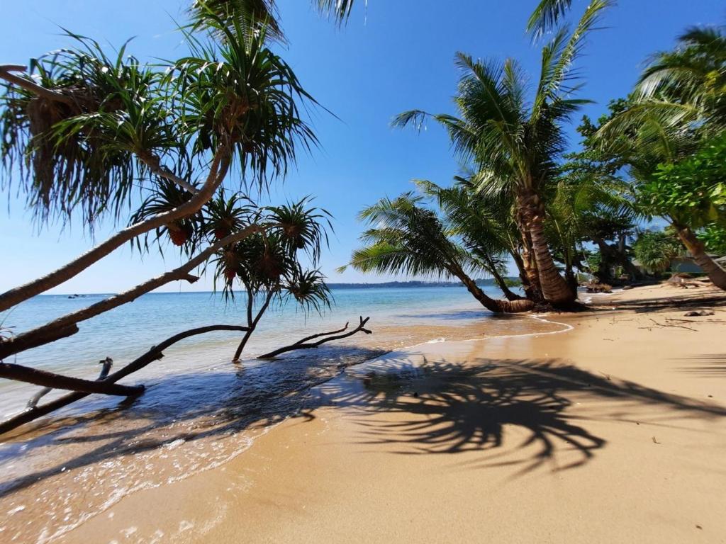 Plub Pla Koh Mak Retreat photo 5