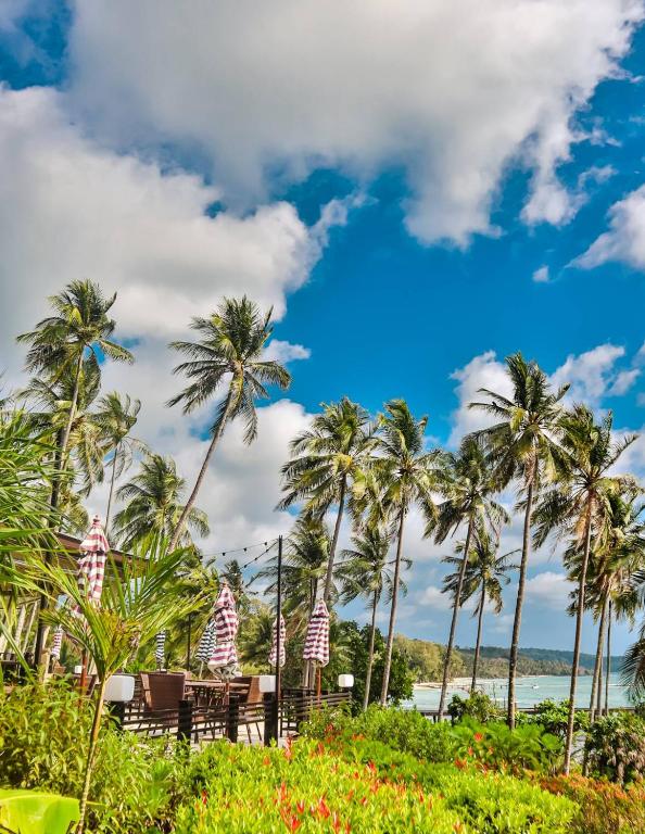 a view of the beach and palm trees at Shantaa Resort, Kohkood in Ko Kood