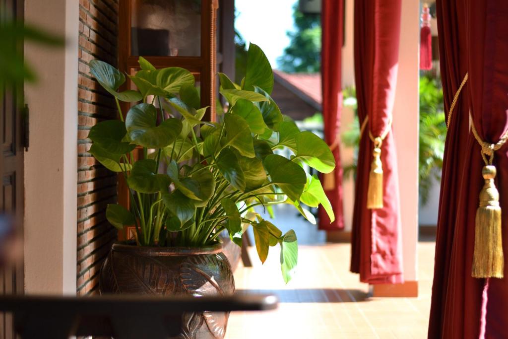 Thai Thai Sukhothai Resort photo 5