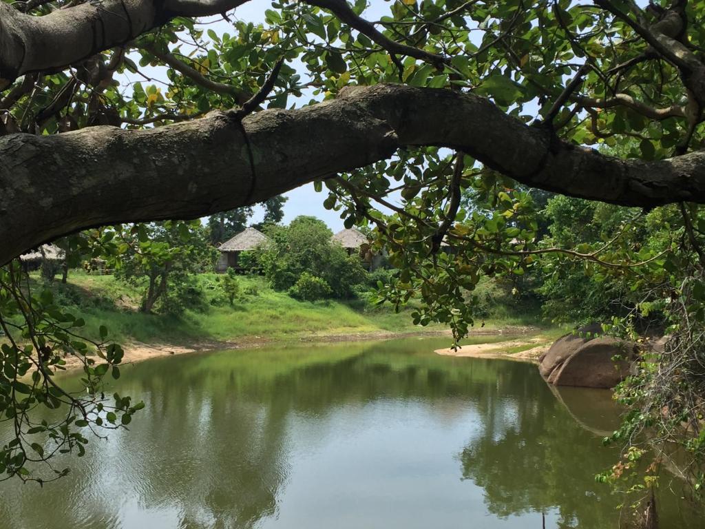 Thap Pala Cottage