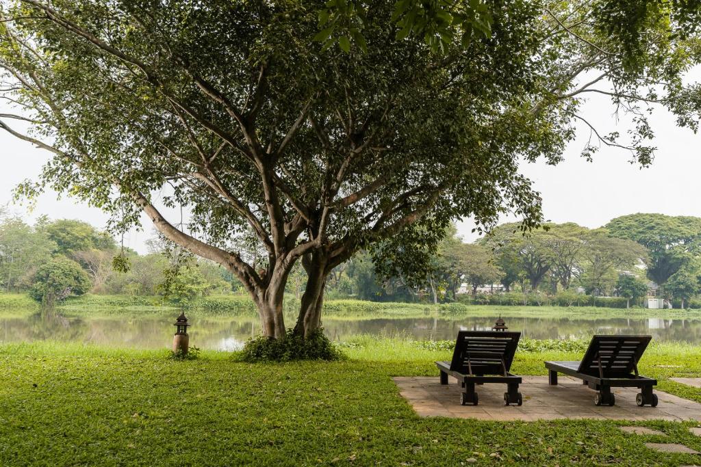 The Legend Chiang Rai Boutique River Resort & Spa photo 5
