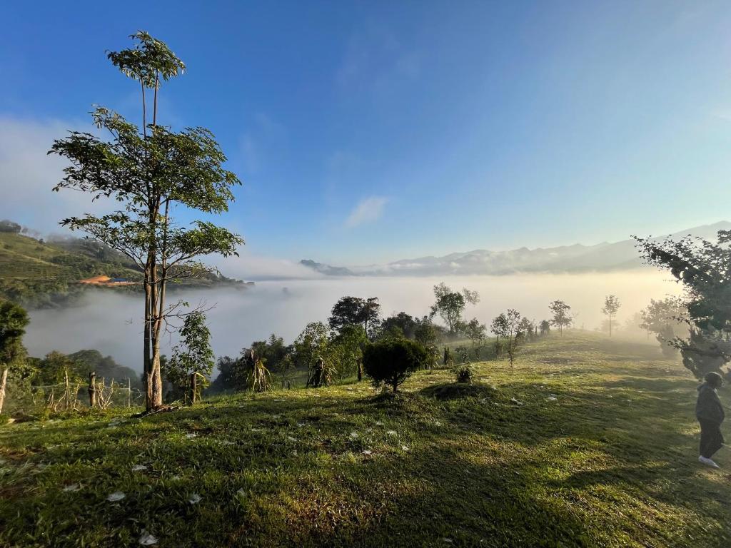 WoodHouse Homestay Chiangrai photo 4