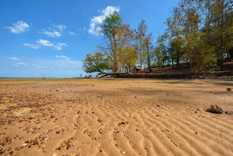 75 Million-year-old Shell Cemetery