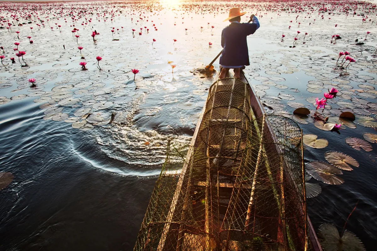 Red Lotus Sea (Nong Han Kumphawapi) — photo 3