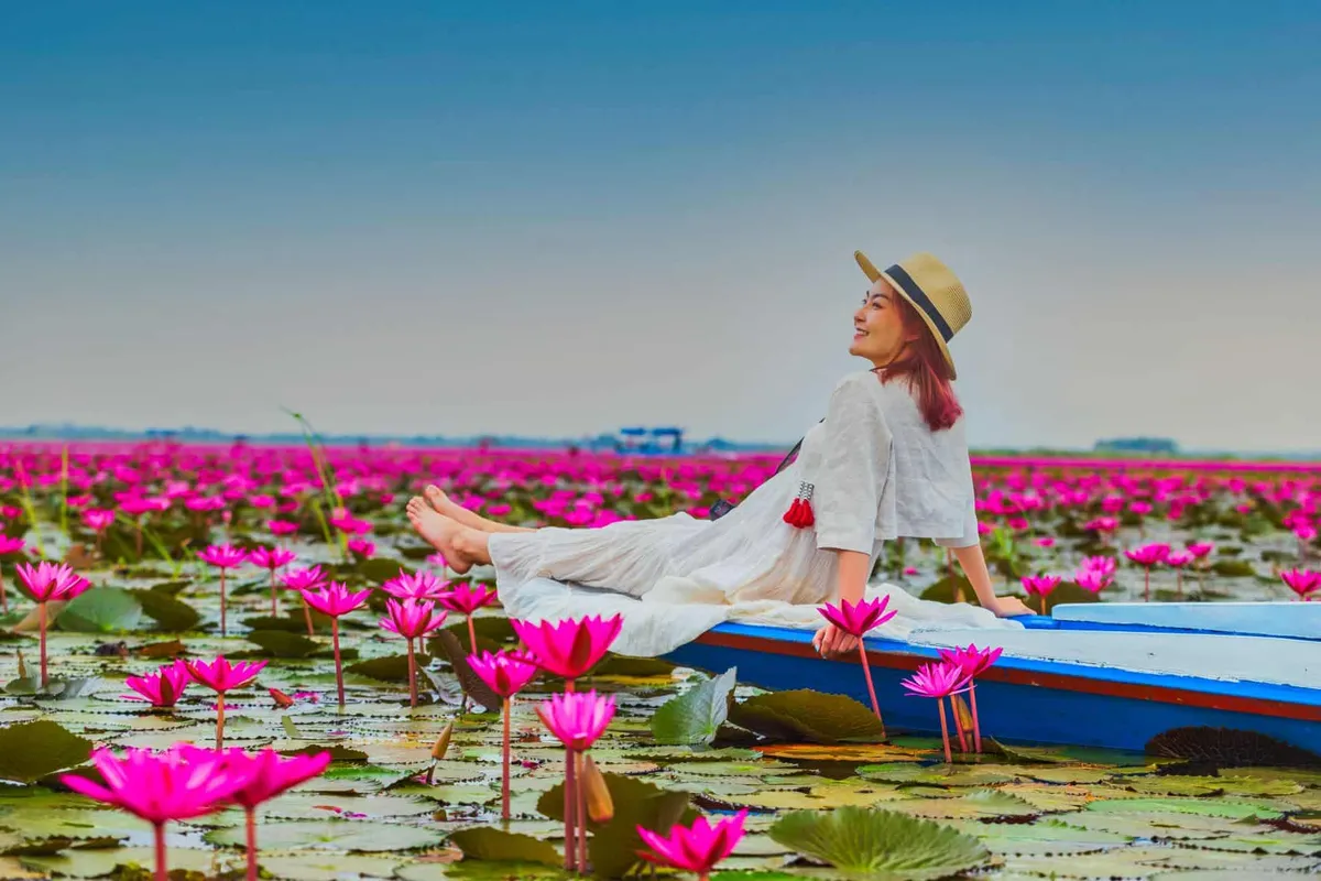 A Lake of Pink Water Lilies, Nong Han, Kumphawapi