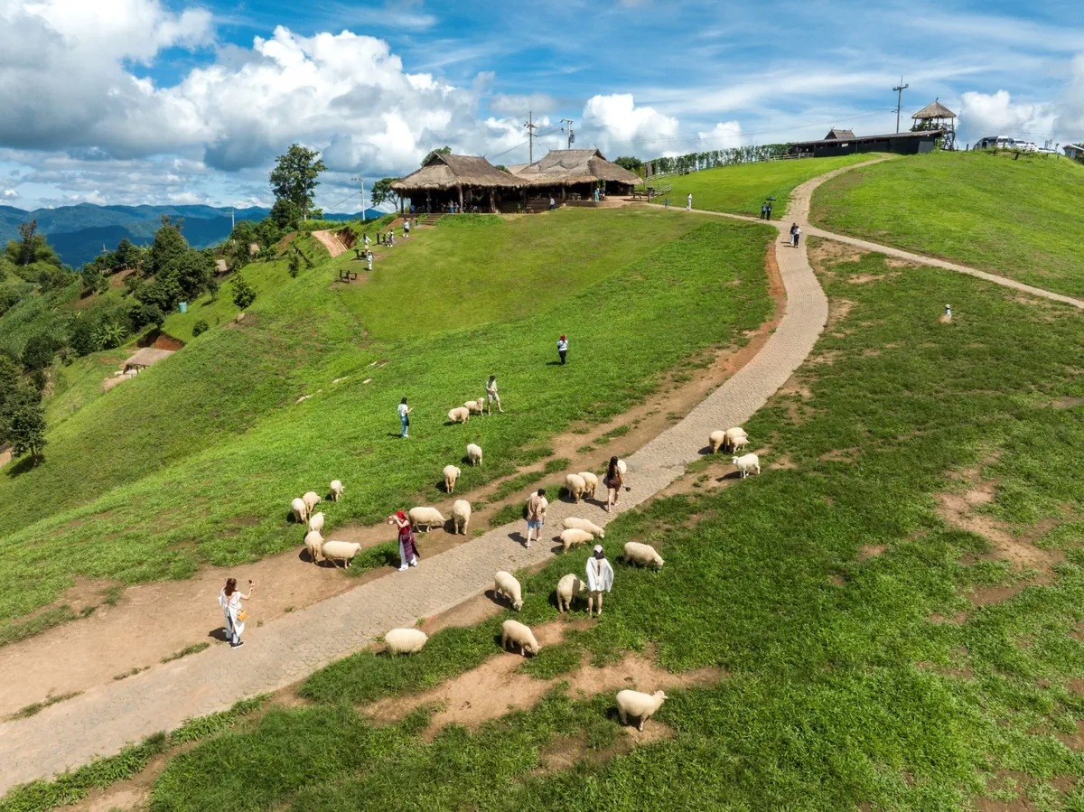 Akha Farm Ville — photo 2