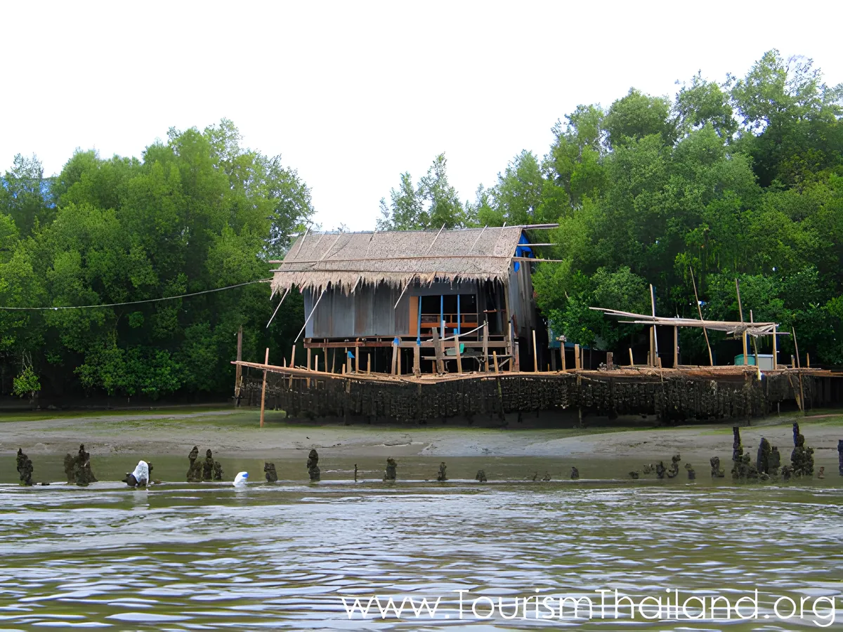 Ao Mahachai Mangrove Forest Study Centre