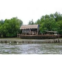 Ao Mahachai Mangrove Forest Study Centre
