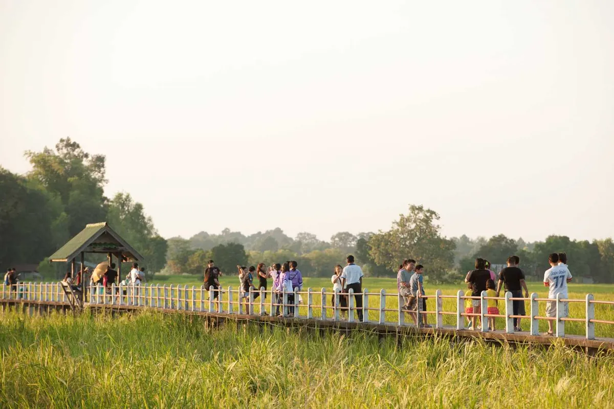 Ban Chi Thuan Rice Fields Walking Bridge (Khua Noi) — photo 2