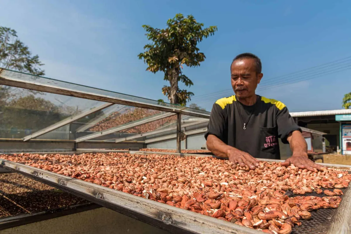 Ban Hat Kai Toi Community