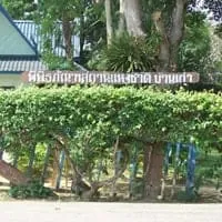 Ban Kao National Museum