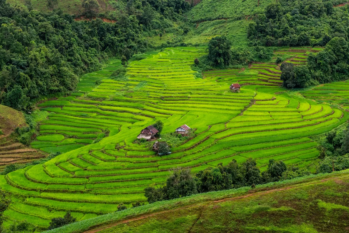 Ban La Up Tourism Community Mae Hong Son Province — photo 2