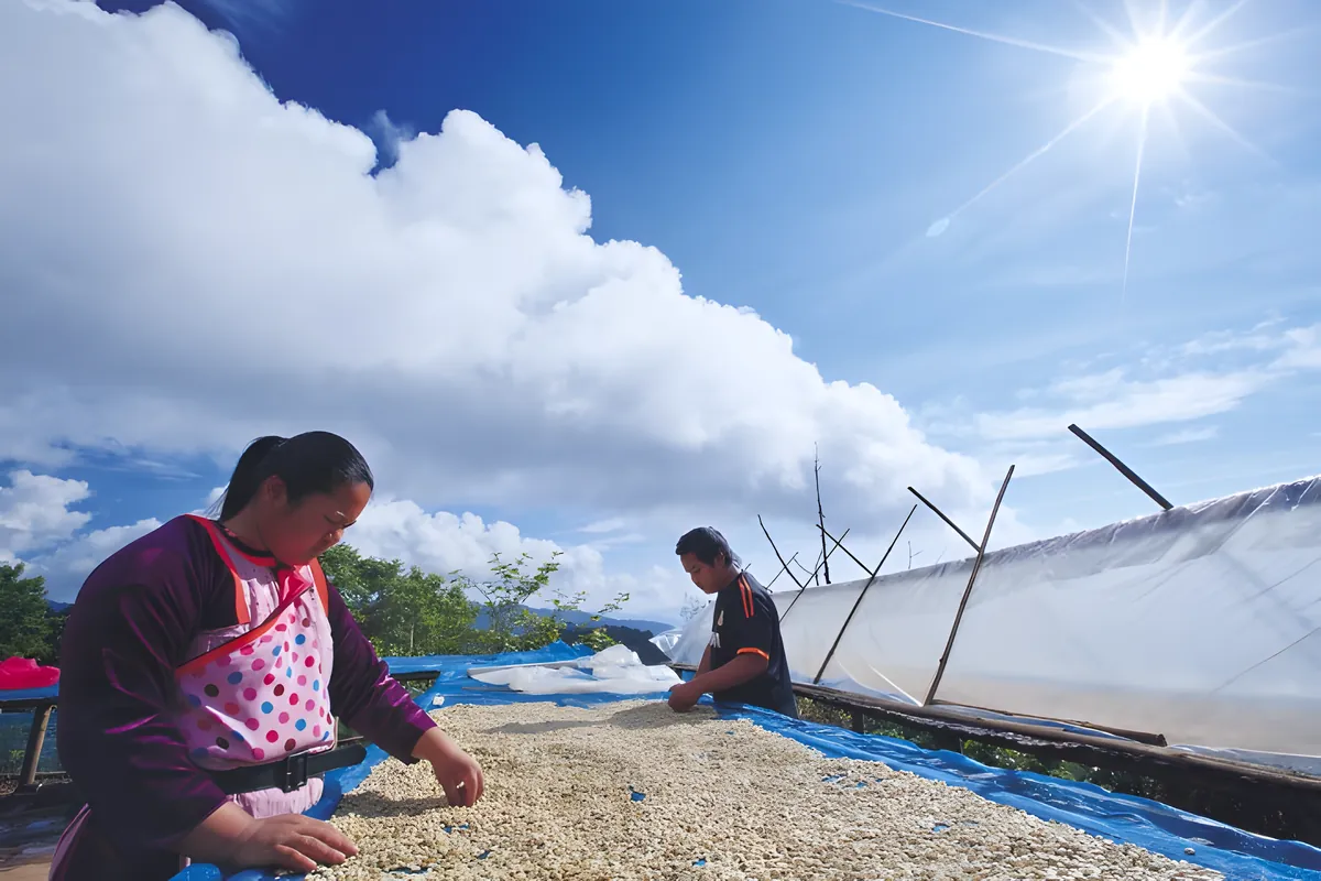 Ban Lek Nai Pa Yai Doi Dam Royal Project