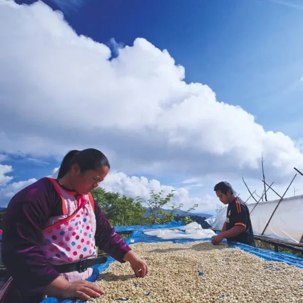 Pai → Bangkok → Surat Thani (travel day)