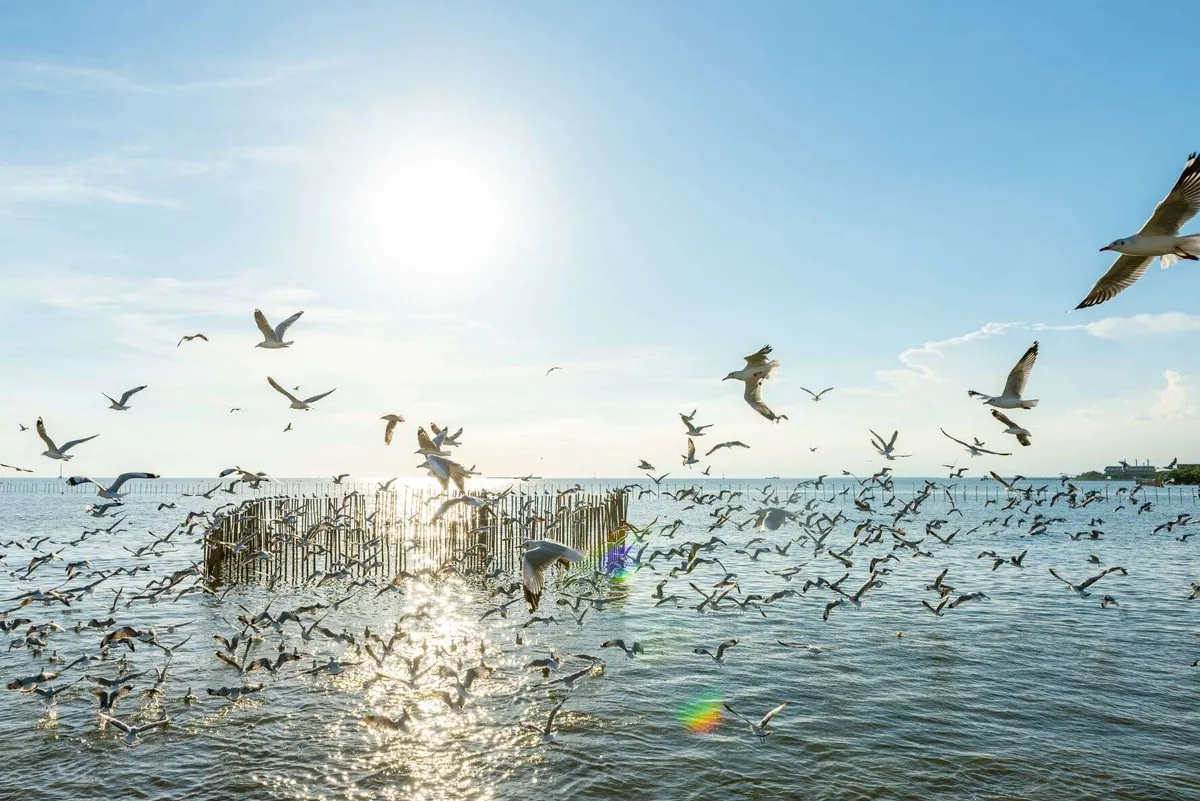 Bang Pu Recreation Center