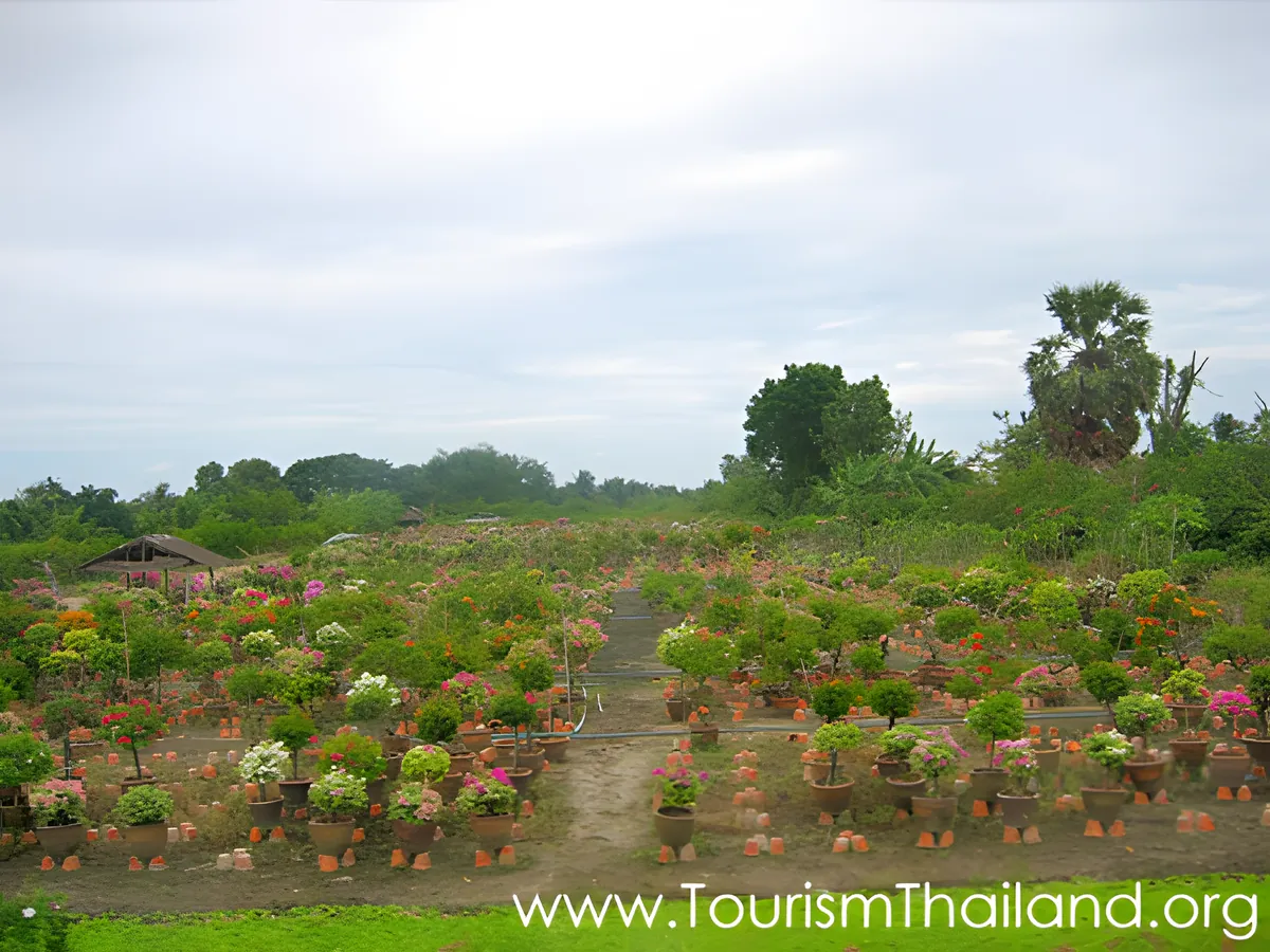 Bang Rak Noi Agritourism