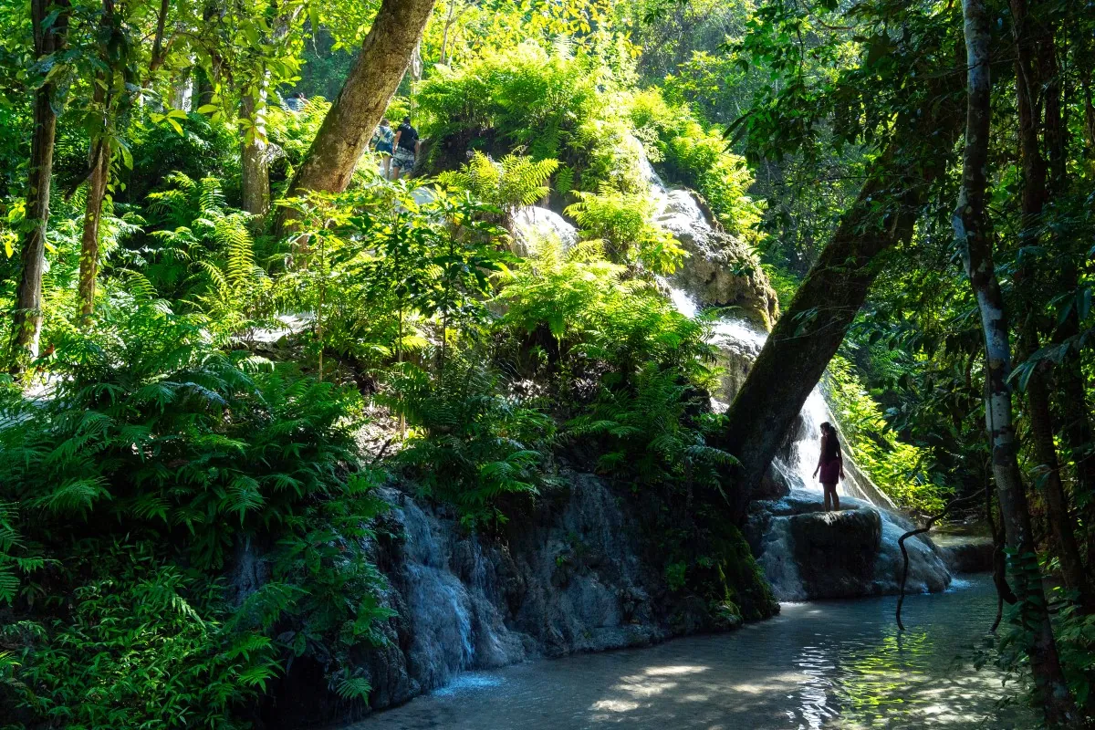 Bua Tong Sticky Waterfall — photo 3