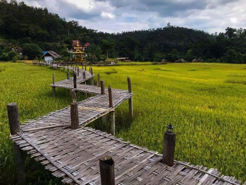 Buddha Bamboo Bridge