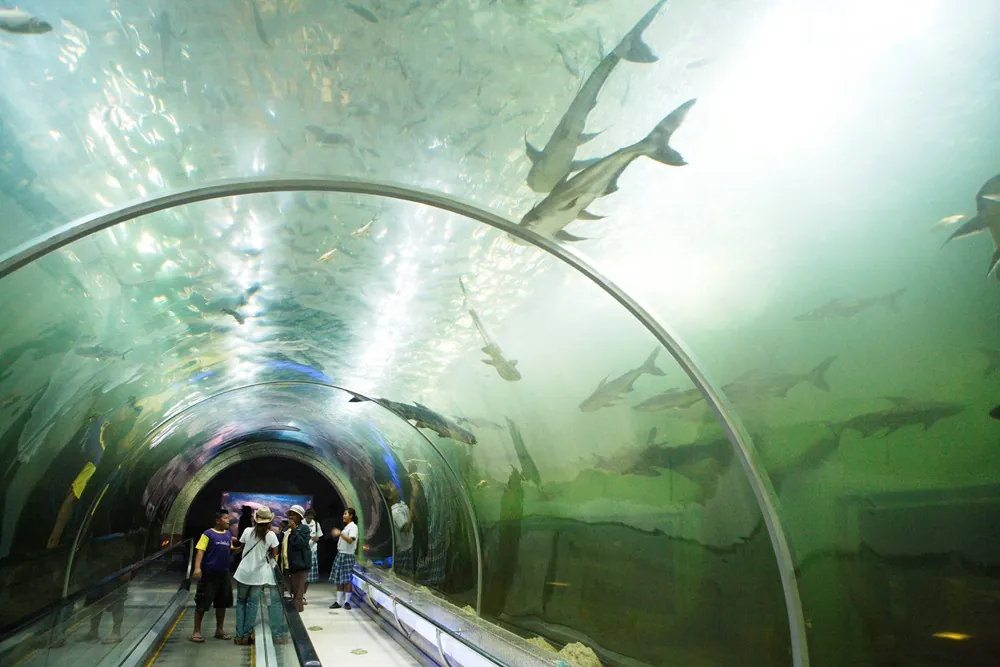 Bueng Boraphet Freshwater Aquariums — photo 3