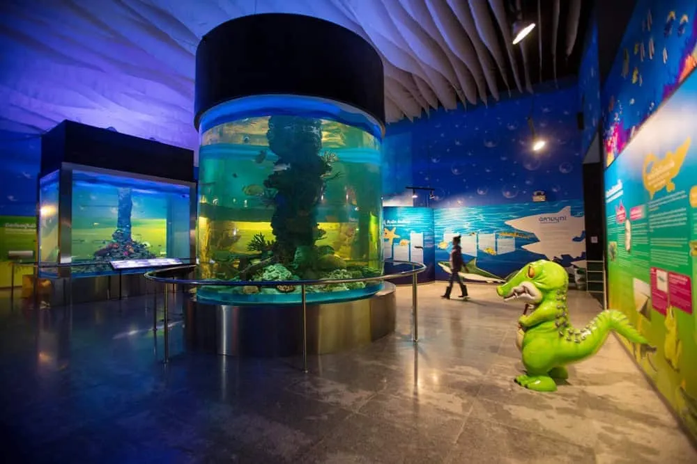 Bueng Boraphet Freshwater Aquariums