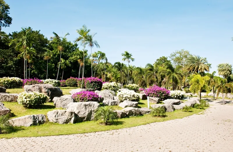Central Botanical Garden (Phu Kae) — photo 2